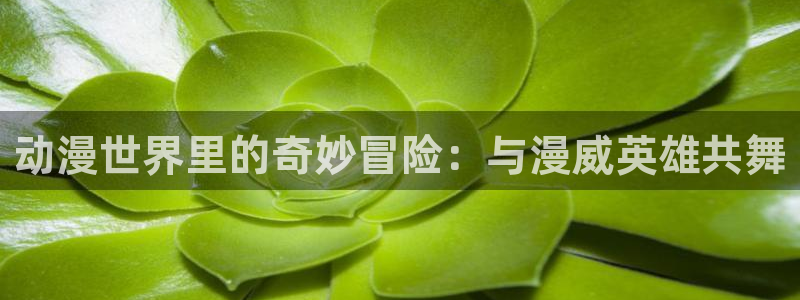 奇诺之旅樱花动漫在线观看