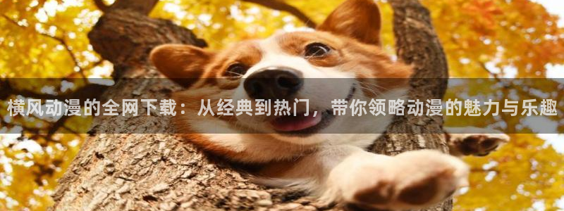美食猎人中文版樱花动漫