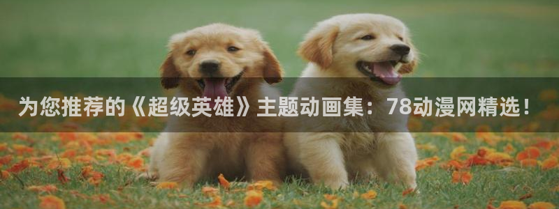 樱花动漫网正版官网入口