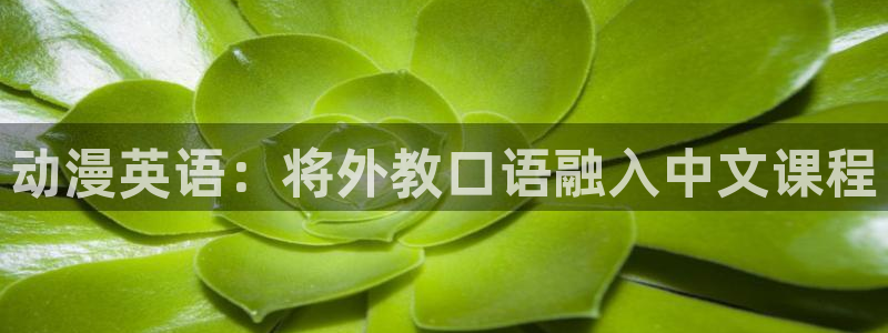 樱花动漫最新动漫