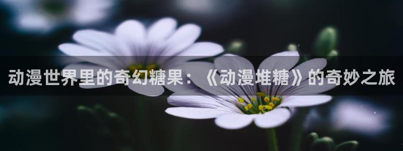 我推的孩子樱花动漫第一季